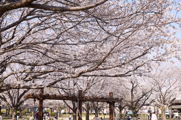 【美薗中央公園で出張開催！】230402もくもくワークショップ　スツールをつくってみよう！