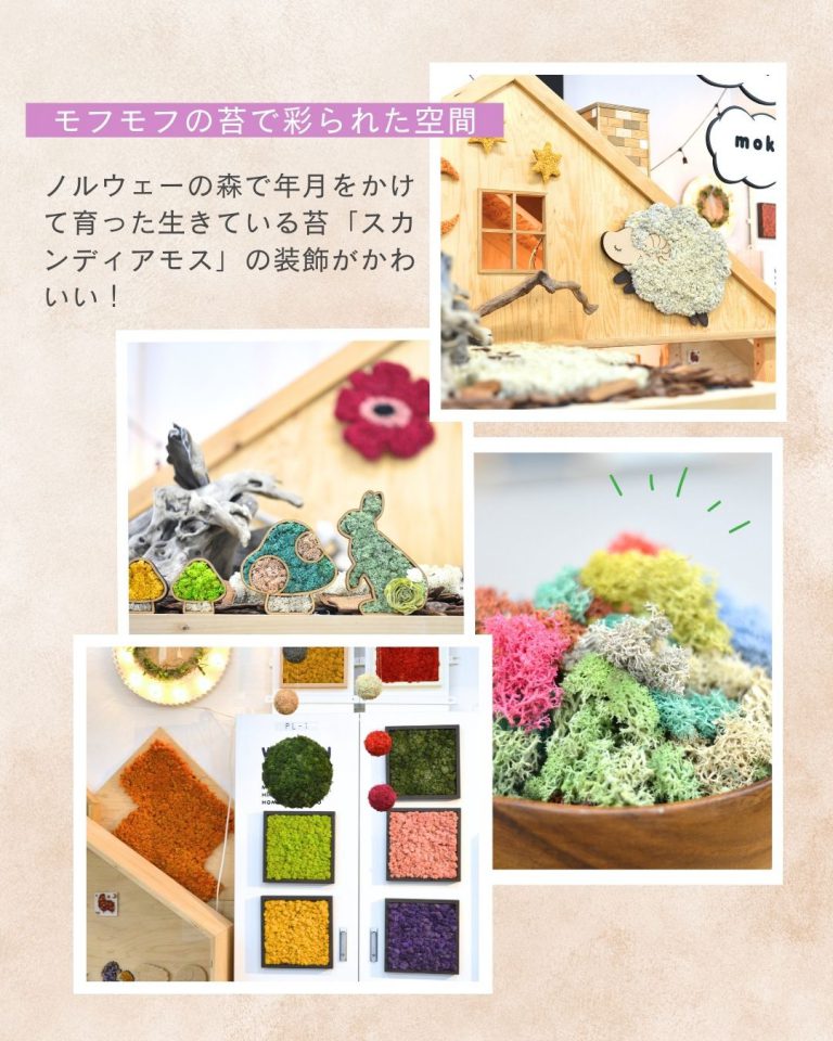 【25.0601-30】6月 予約制キッズスペースで遊ぼう!