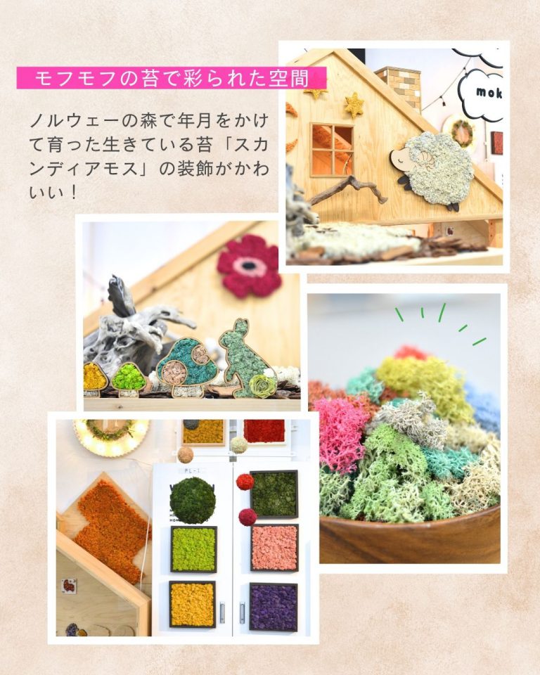 【25.0901-30】9月 予約制キッズスペースで遊ぼう！