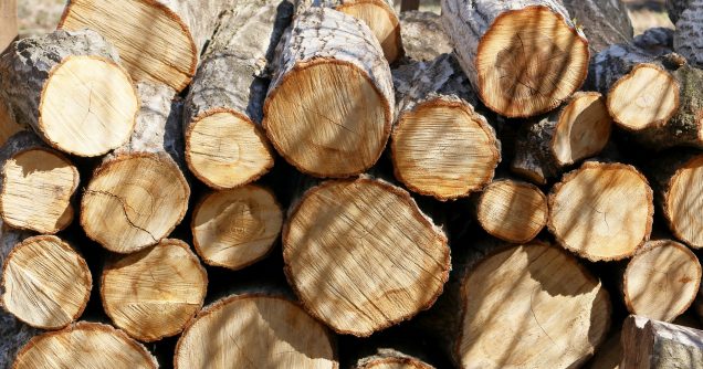 スクラップブックをつくろう！