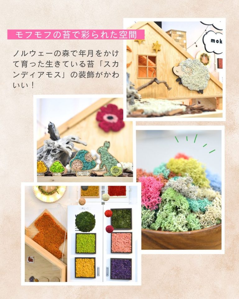 【26/8/1-8/31】8月 予約制キッズスペースで遊ぼう！