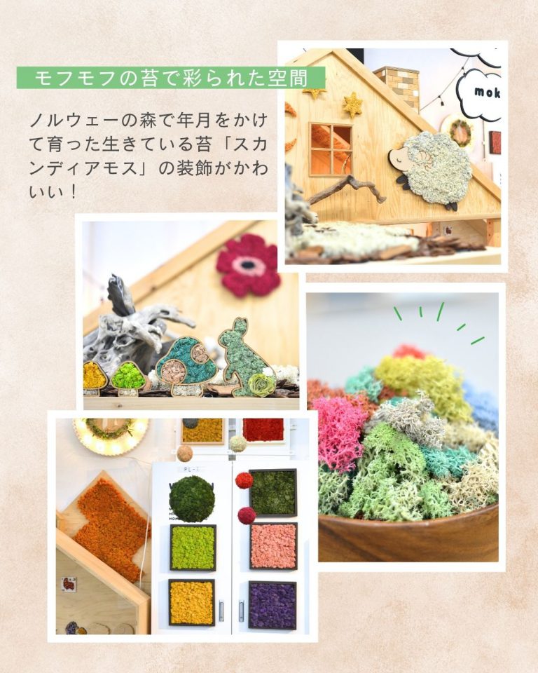 【261101-1130】11月 予約制キッズスペースで遊ぼう！